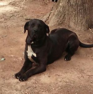 Meet your Posher, Vicky